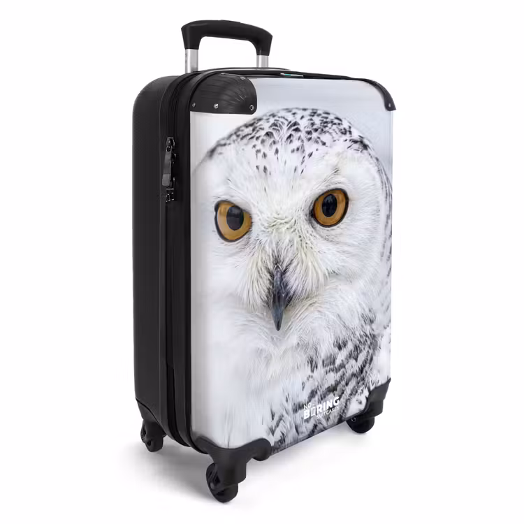 CaseSwap - Sneeuwuil - Oog - Wildlife - Wit — 2
