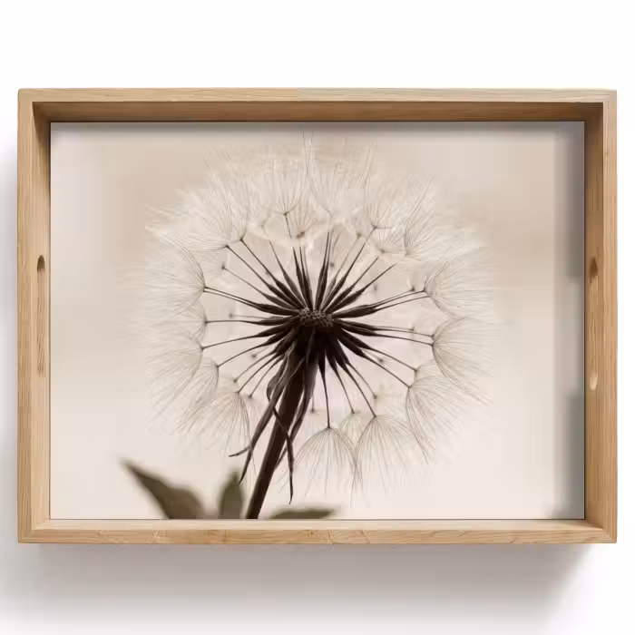 Dienblad - Paardenbloem - Minimalistisch - Wit