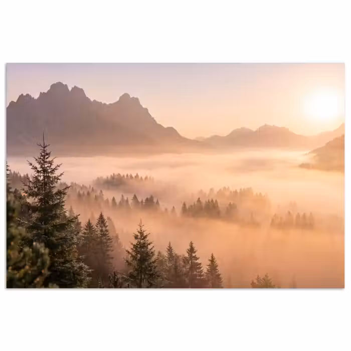 poster - Zonlicht - Mist - Bergen - Bomen